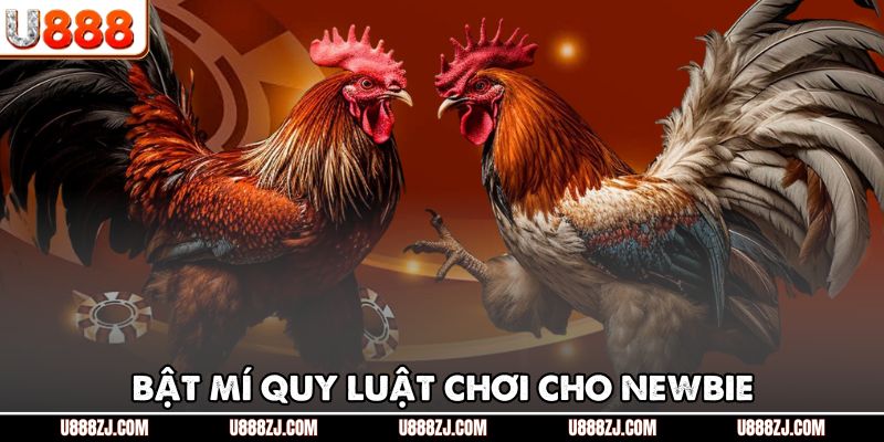Bật mí quy luật chơi cho newbie