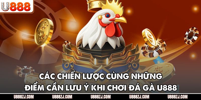 Cách thức đặt cược đá gà U888 dành cho người mới