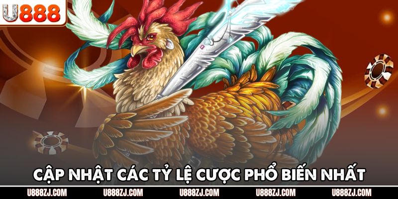 Cập nhật các tỷ lệ cược phổ biến nhất