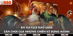 Đá Gà Cựa Dao U888 - Sân Chơi Của Những Chiến Kê Dũng Mãnh