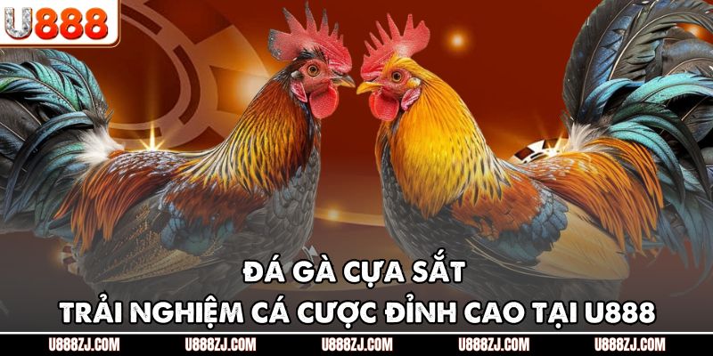 Đá Gà Cựa Sắt - Trải Nghiệm Cá Cược Đỉnh Cao Tại U888