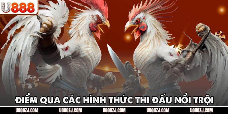 Điểm qua các hình thức thi đấu nổi trội
