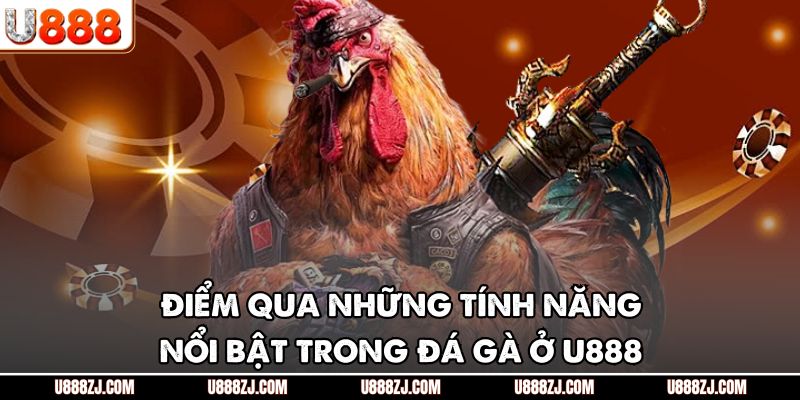 Điểm qua những tính năng nổi bật trong đá gà ở U888