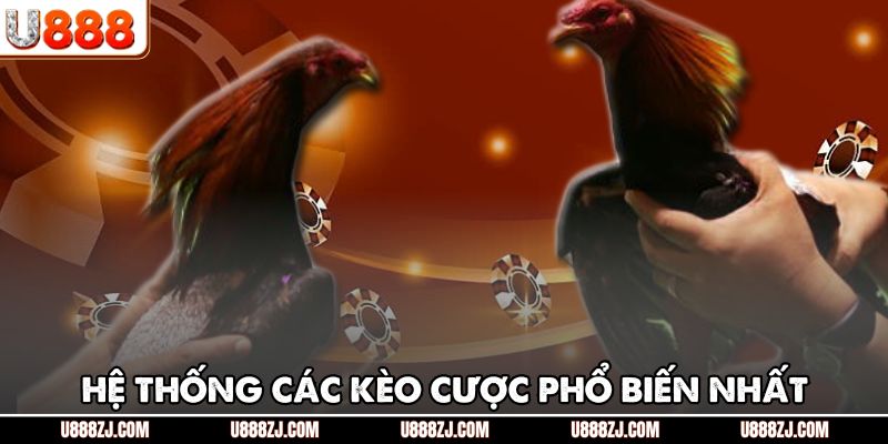 Hệ thống các kèo cược phổ biến nhất