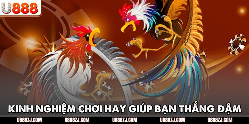 Kinh nghiệm chơi hay giúp bạn thắng đậm