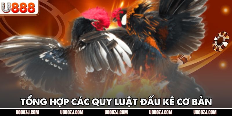 Tổng hợp các quy luật đấu kê cơ bản