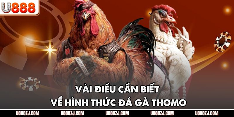 Vài điều cần biết về hình thức đá gà Thomo